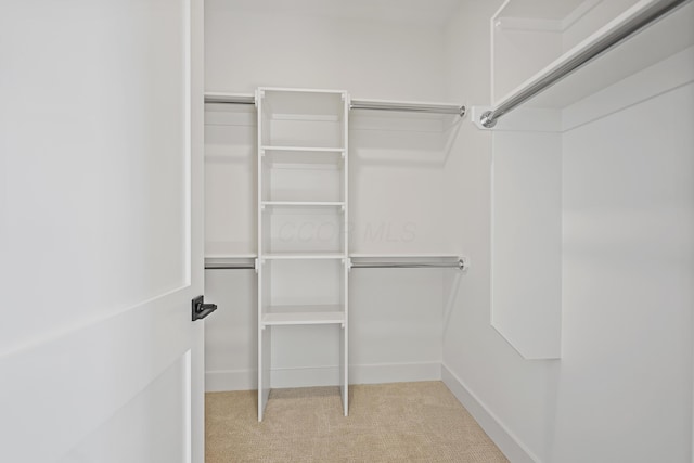 walk in closet with carpet