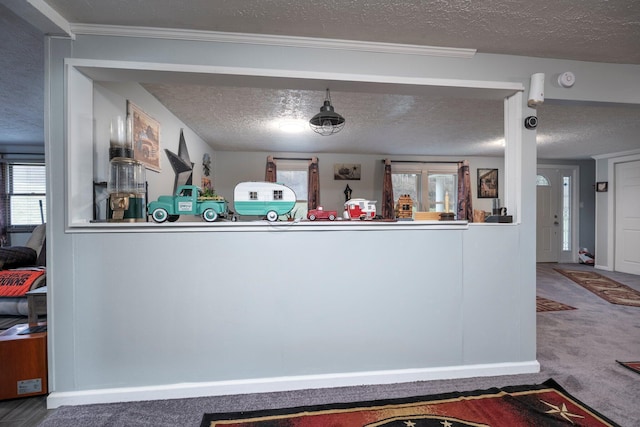 interior space with a wealth of natural light, carpet flooring, and a textured ceiling