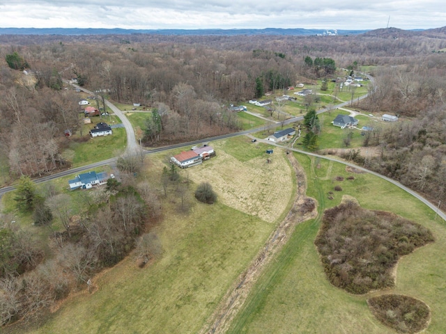 aerial view with a forest view