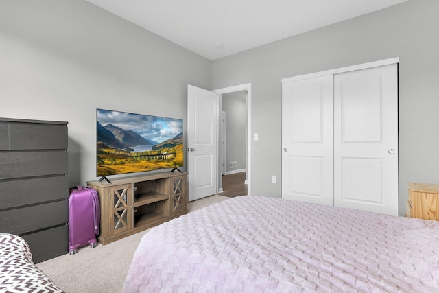 7 Erin Hills Rd, Commercial Point, OH 43116 - bedroom with carpet floors and a closet