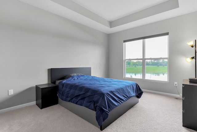 7 Erin Hills Rd, Commercial Point, OH 43116 - bedroom with baseboards, light colored carpet, and a raised ceiling