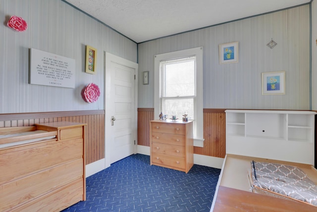 123 Campbell St, Delaware, OH 43015 - bedroom with wainscoting, dark colored carpet, and a textured ceiling