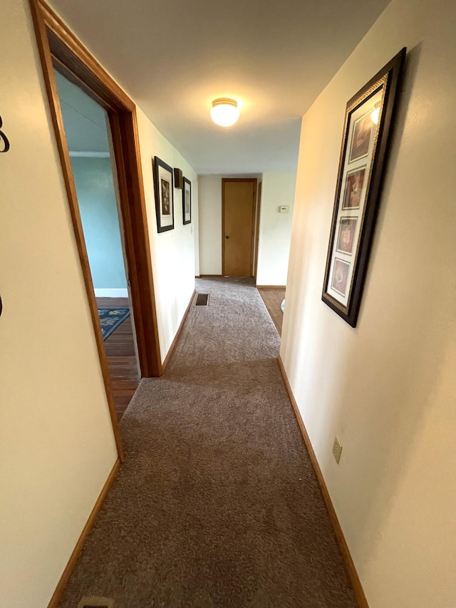 14963 Payne Rd, Marysville, OH 43040 - hallway with carpet floors, baseboards, and visible vents