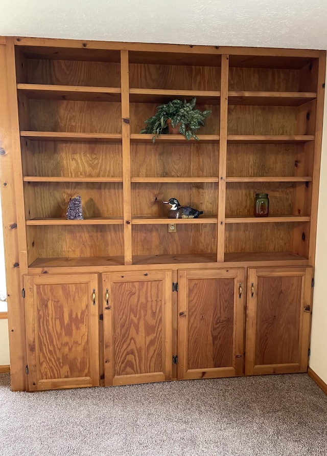 14963 Payne Rd, Marysville, OH 43040 - interior details featuring carpet flooring