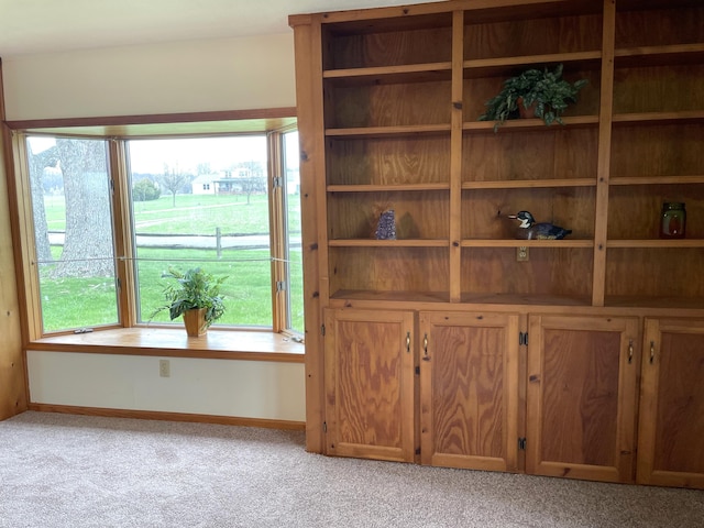 14963 Payne Rd, Marysville, OH 43040 - details with baseboards and carpet flooring