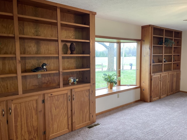 14963 Payne Rd, Marysville, OH 43040 - interior space featuring baseboards, a textured ceiling, visible vents, and light carpet