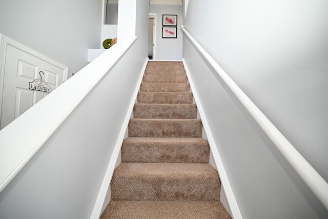 stairway with carpet