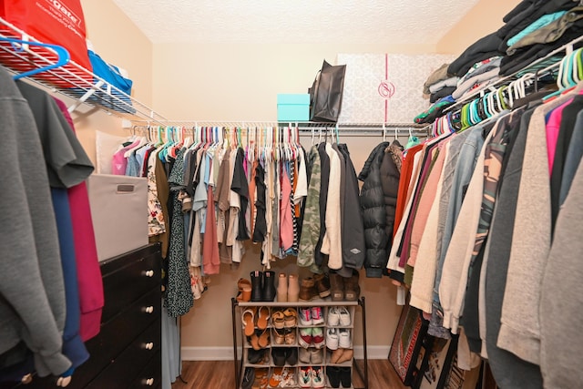 walk in closet featuring wood finished floors