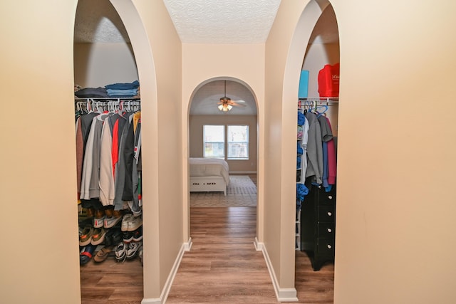 walk in closet featuring ceiling fan and wood finished floors