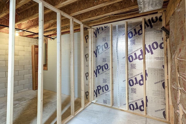 unfinished below grade area featuring concrete block wall