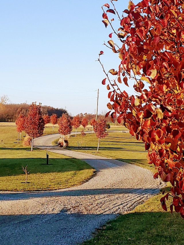 surrounding community featuring a lawn