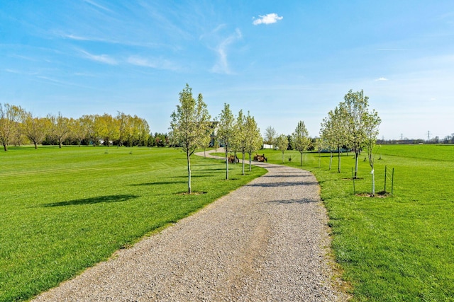 view of property's community with a yard