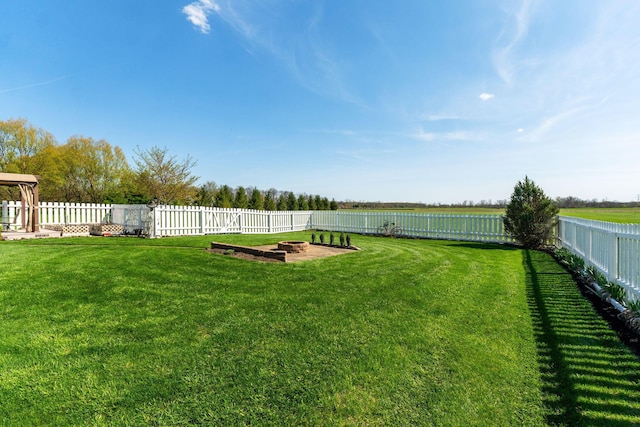 view of yard with a fenced backyard