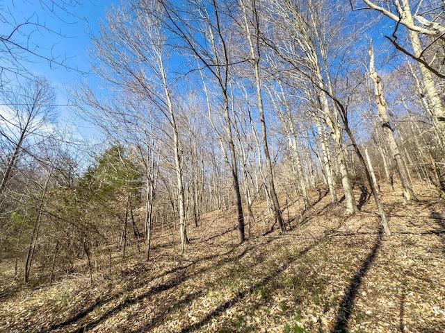 7583 Blue Creek Rd, Stout, OH 45684 - photo 24