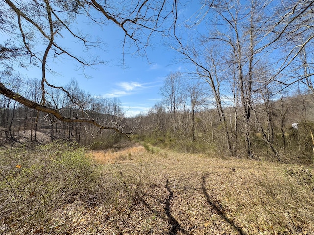 7583 Blue Creek Rd, Stout, OH 45684 - photo 33