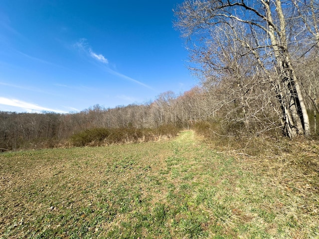 7583 Blue Creek Rd, Stout, OH 45684 - photo 36