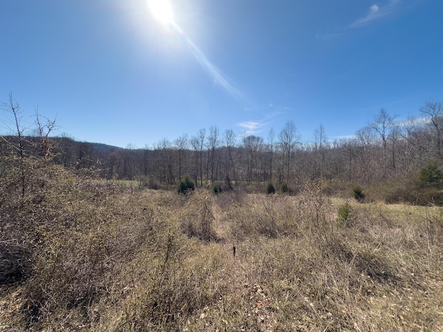 7583 Blue Creek Rd, Stout, OH 45684 - photo 39