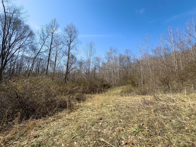 7583 Blue Creek Rd, Stout, OH 45684 - photo 40