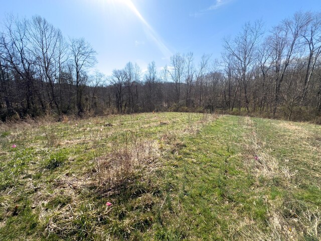 7583 Blue Creek Rd, Stout, OH 45684 - photo 41
