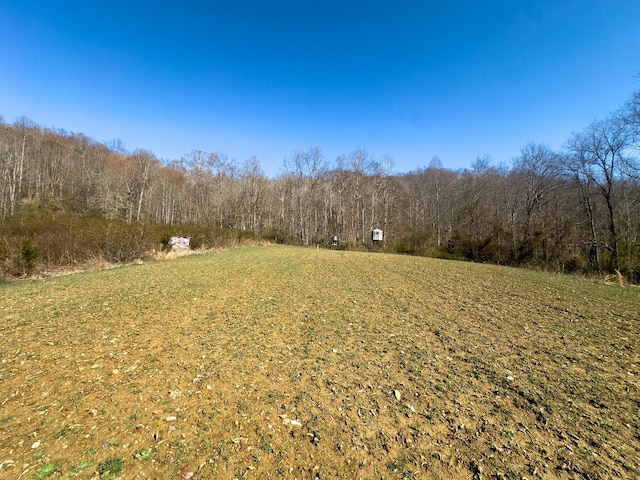 7583 Blue Creek Rd, Stout, OH 45684 - photo 42