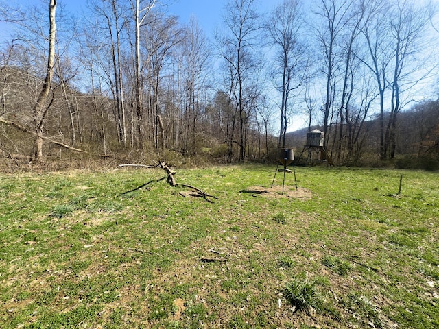 7583 Blue Creek Rd, Stout, OH 45684 - photo 44