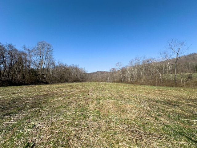 7583 Blue Creek Rd, Stout, OH 45684 - photo 48