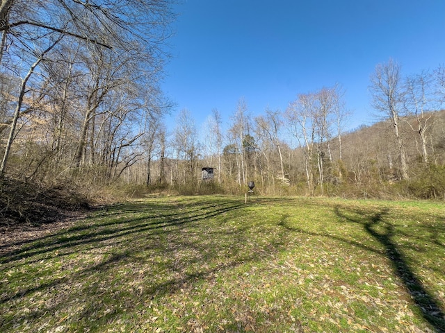 7583 Blue Creek Rd, Stout, OH 45684 - photo 49