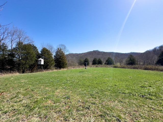 7583 Blue Creek Rd, Stout, OH 45684 - photo 50