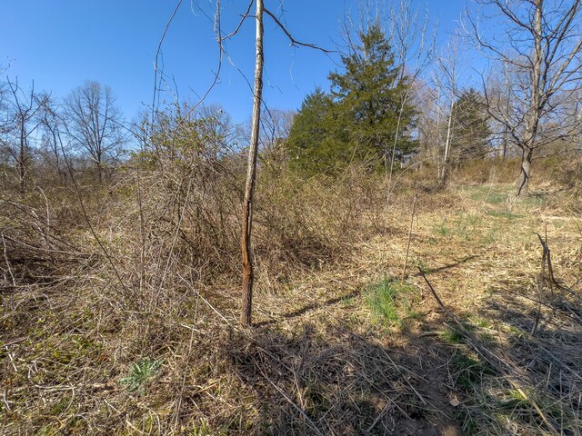 7583 Blue Creek Rd, Stout, OH 45684 - photo 51