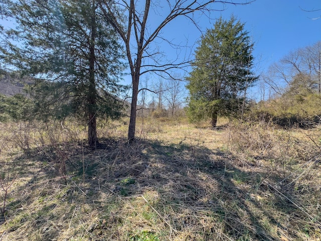 7583 Blue Creek Rd, Stout, OH 45684 - photo 52