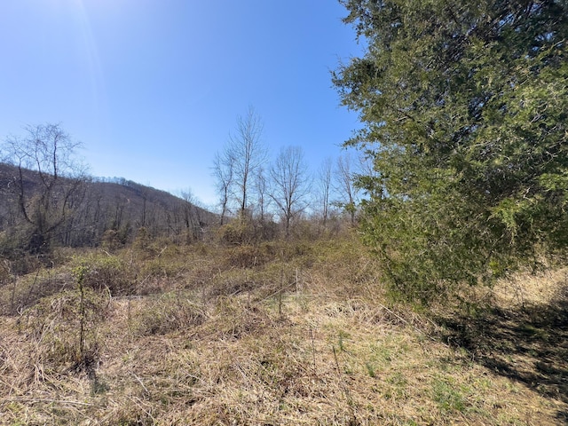 7583 Blue Creek Rd, Stout, OH 45684 - photo 54