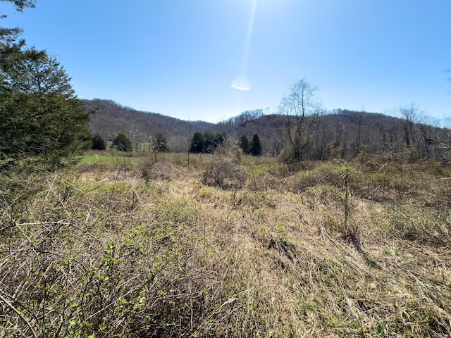 7583 Blue Creek Rd, Stout, OH 45684 - photo 55
