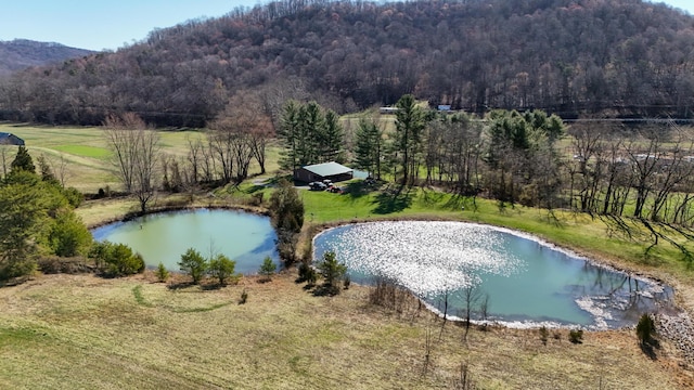 7583 Blue Creek Rd, Stout, OH 45684 - photo 58