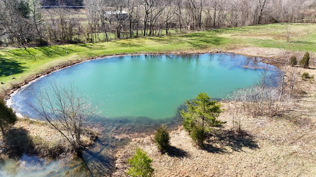 7583 Blue Creek Rd, Stout, OH 45684 - photo 60