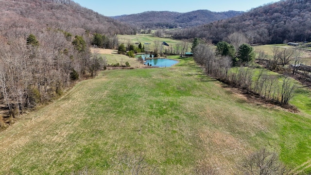 7583 Blue Creek Rd, Stout, OH 45684 - photo 62