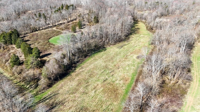 7583 Blue Creek Rd, Stout, OH 45684 - photo 63