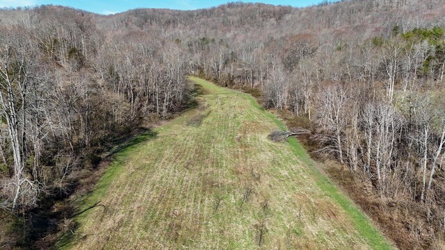 7583 Blue Creek Rd, Stout, OH 45684 - photo 64