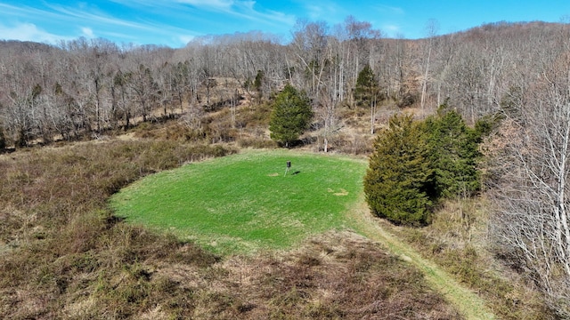 7583 Blue Creek Rd, Stout, OH 45684 - photo 65