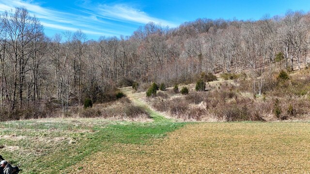 7583 Blue Creek Rd, Stout, OH 45684 - photo 69