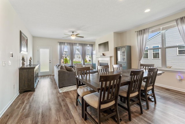 dining space with baseboards, a wealth of natural light, wood finished floors, and a tile fireplace