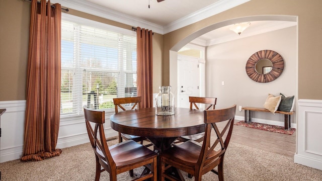 116 Coffeetree Ct, Pickerington, OH 43147 - dining space with arched walkways, ornamental molding, plenty of natural light, wainscoting, and a ceiling fan