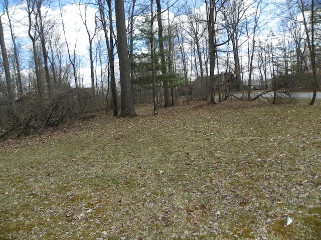 view of local wilderness