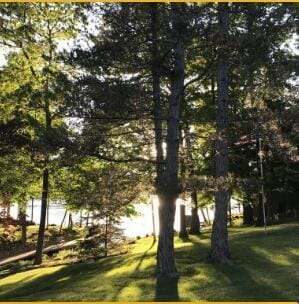 surrounding community featuring a yard