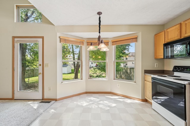 3092 Andrew James Dr, Hilliard, OH 43026 - kitchen with white electric range, black microwave, healthy amount of natural light, light floors, and a textured ceiling