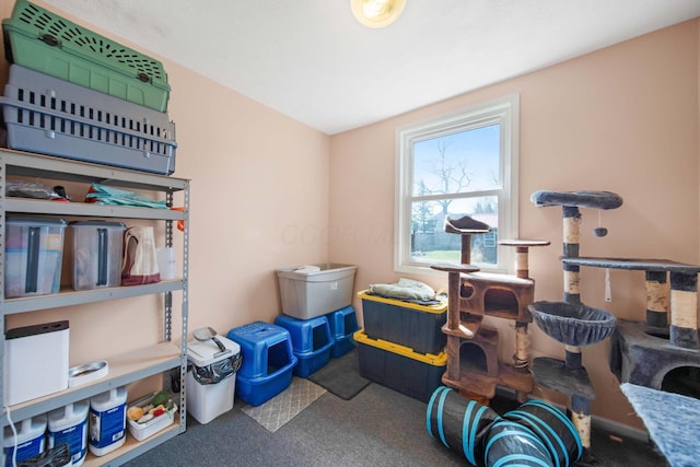 view of storage room