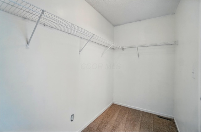 walk in closet with carpet
