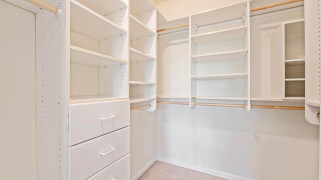 spacious closet with light carpet