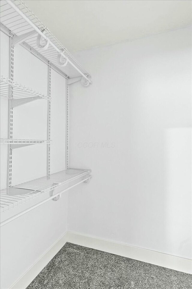 8119 State Route 366, Russells Point, OH 43348 - walk in closet featuring carpet