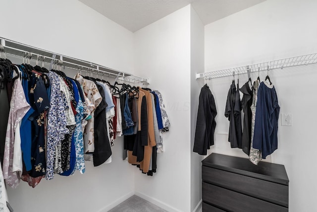 view of walk in closet