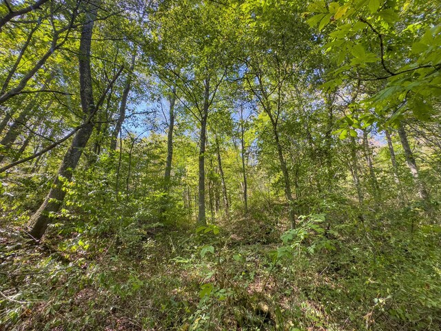 0 Fairview Rd, New Plymouth, OH 45654